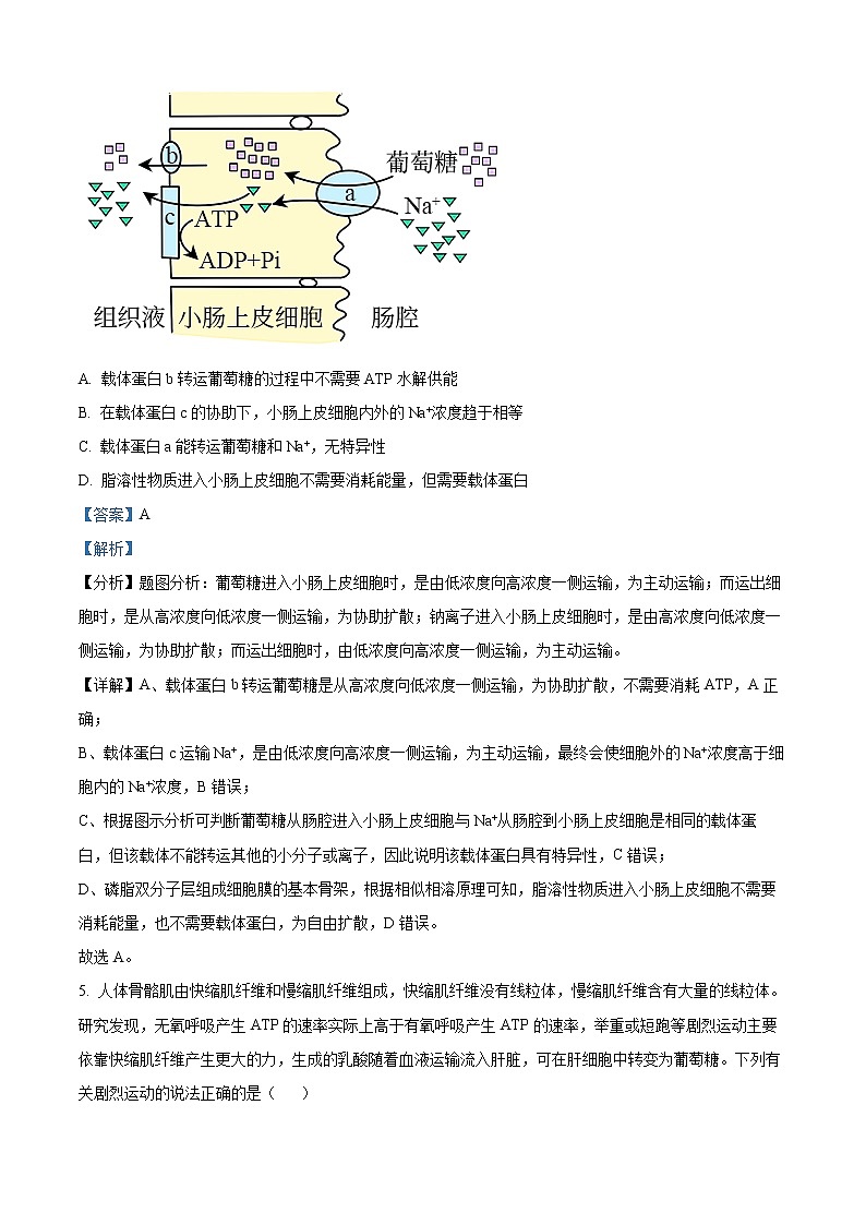 江苏省徐州市2021-2022学年高二下学期期末生物试题含解析第3页