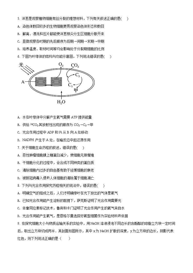 四川省遂寧市2021-2022學年高一下學期期末生物試題無答案第2頁