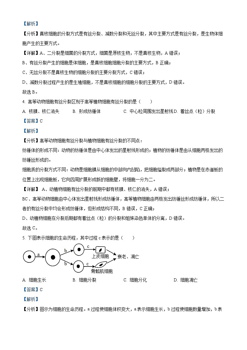 四川省内江市2021-2022学年高一下学期期末检测题生物(文)试题含解析第2页
