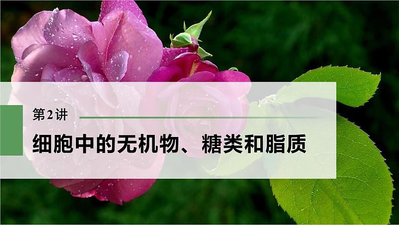 高考生物一轮复习 第1单元 第2讲 细胞中的无机物、糖类和脂质第3页