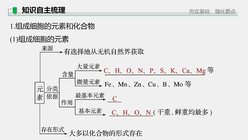 高考生物一轮复习 第1单元 第2讲 细胞中的无机物、糖类和脂质第7页