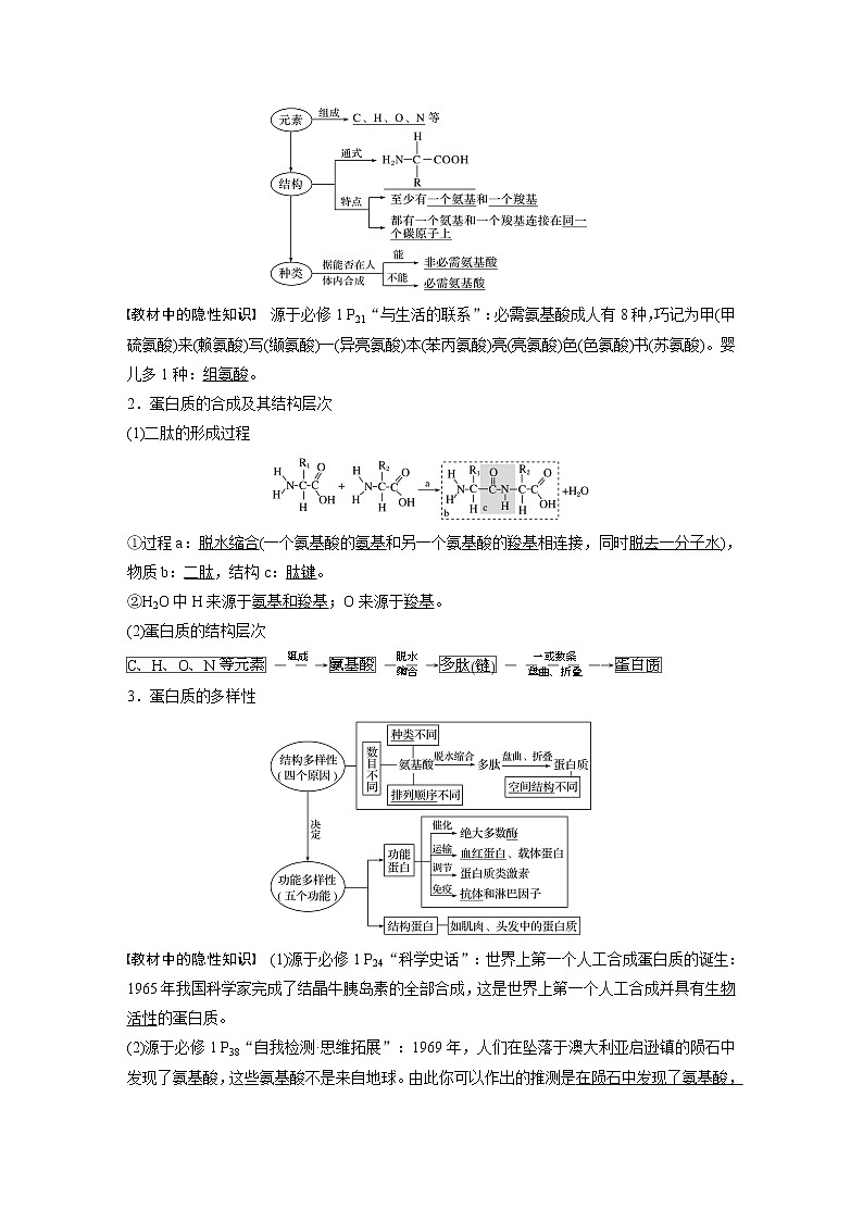 高考生物一轮复习 第1单元 第3讲 蛋白质和核酸第2页