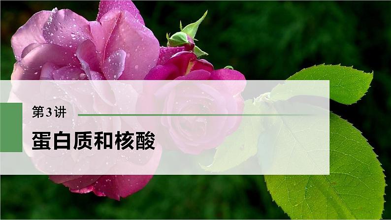 高考生物一轮复习 第1单元 第3讲 蛋白质和核酸第3页