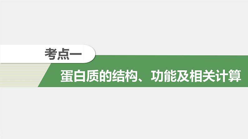 高考生物一轮复习 第1单元 第3讲 蛋白质和核酸第6页
