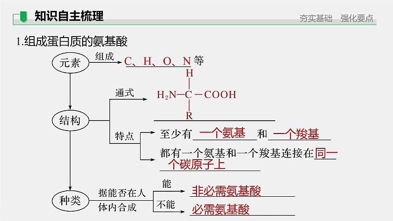 高考生物一轮复习 第1单元 第3讲 蛋白质和核酸第7页