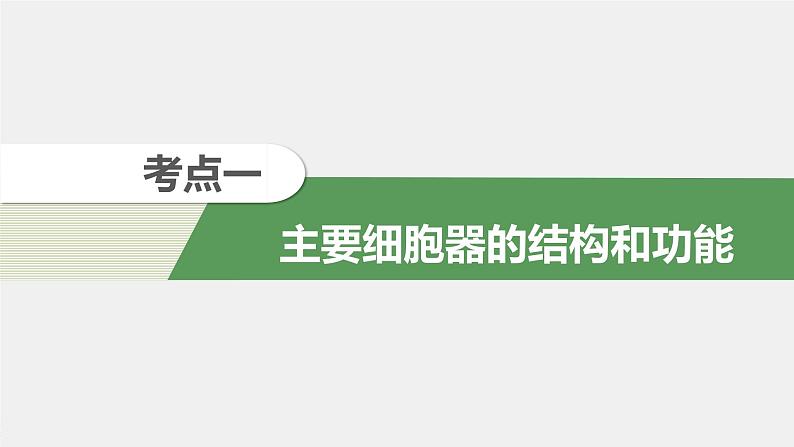 高考生物一轮复习课件+讲义 第2单元 第5讲 细胞器和生物膜系统06