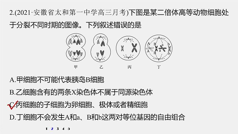 高考生物一轮复习 第4单元 强化练7 有丝分裂和减数分裂的综合分析第6页