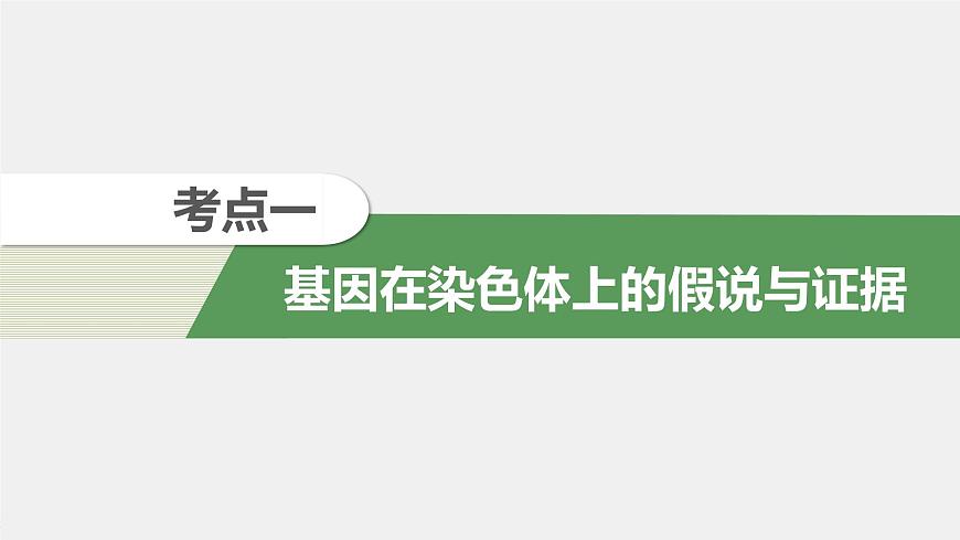 高考生物一輪復(fù)習(xí)  第5單元 第16講　基因在染色體上、伴性遺傳和人類(lèi)遺傳病第6頁(yè)