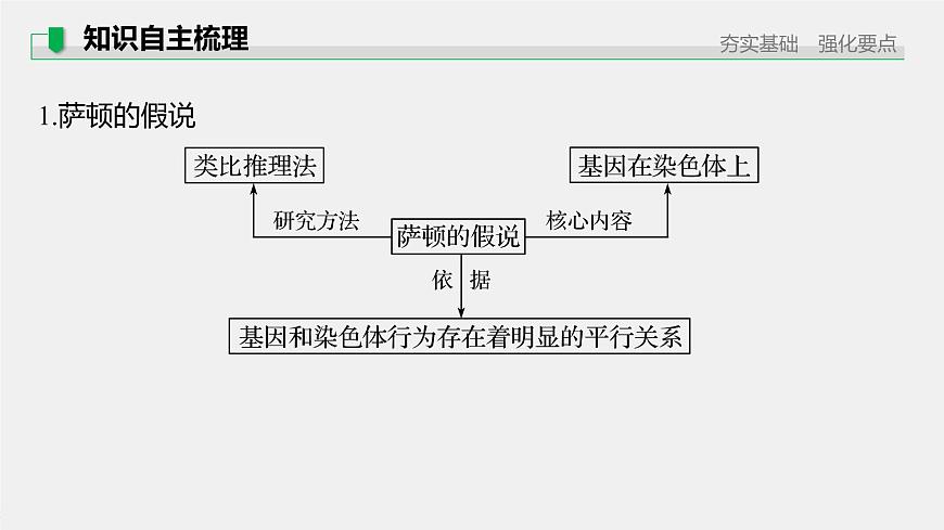 高考生物一輪復(fù)習(xí)  第5單元 第16講　基因在染色體上、伴性遺傳和人類(lèi)遺傳病第7頁(yè)