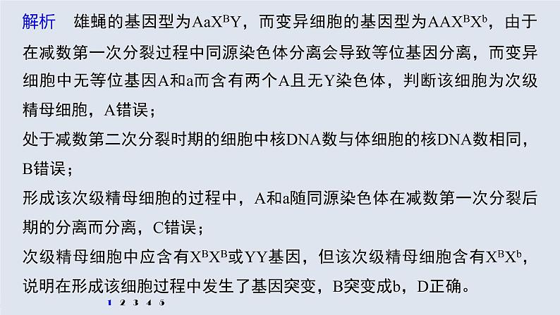高考生物一轮复习课件+讲义 第7单元 强化练13 生物变异类型的判断05