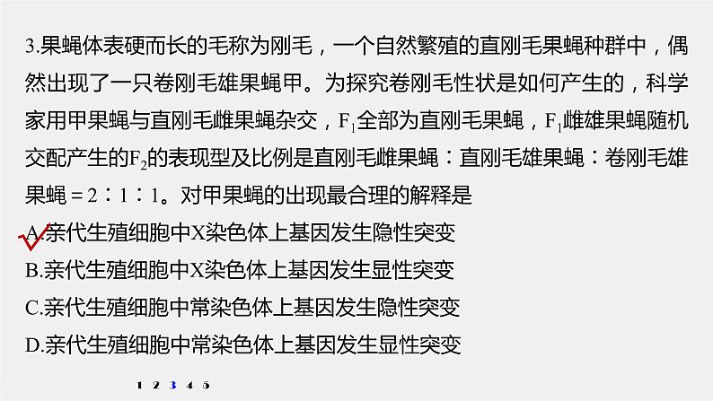 高考生物一轮复习课件+讲义 第7单元 强化练13 生物变异类型的判断08