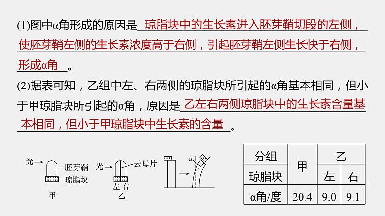 高考生物一轮复习 第8单元 第27讲 热点题型九 植物激素调节的相关实验探究第4页