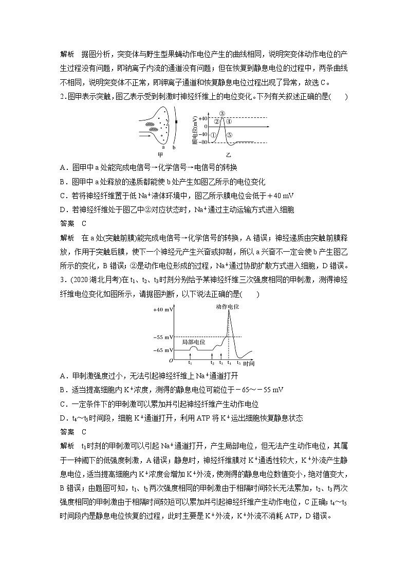 高考生物一轮复习 第8单元 强化练15 兴奋传导的电位变化和电流表指针偏转问题第2页