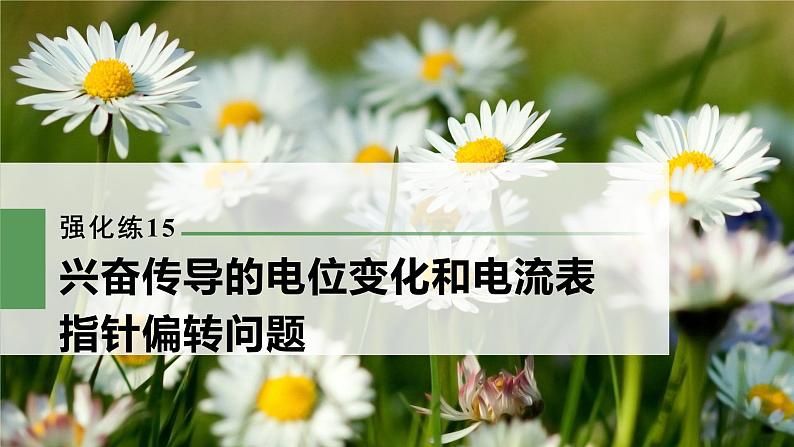 高考生物一轮复习 第8单元 强化练15 兴奋传导的电位变化和电流表指针偏转问题第3页