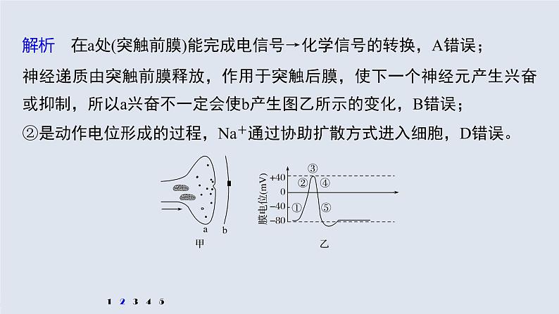 高考生物一轮复习 第8单元 强化练15 兴奋传导的电位变化和电流表指针偏转问题第7页