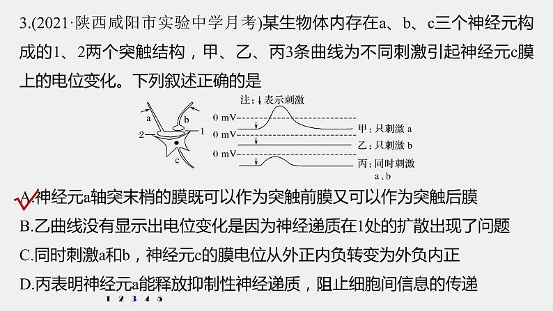 高考生物一轮复习 第8单元 强化练16 兴奋传导与传递的相关实验探究第8页