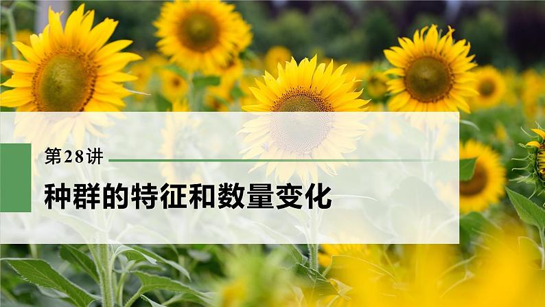 高考生物一轮复习课件+讲义 第9单元 第28讲 种群的特征和数量变化03