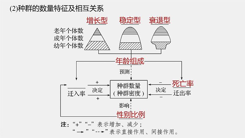 高考生物一轮复习课件+讲义 第9单元 第28讲 种群的特征和数量变化08