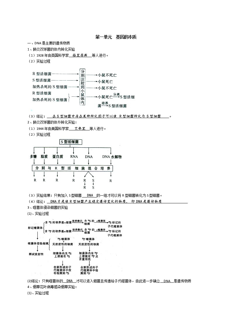 高中生物高考专题2 基因的本质和表达-【复习宝典】2021年高考生物必修知识点归纳(背记版)第1页
