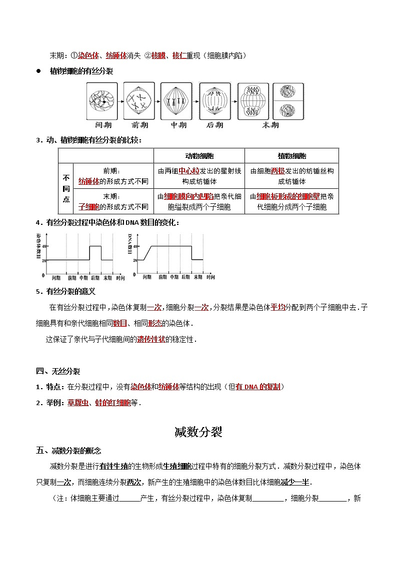 高中生物高考专题03 有丝分裂与减数分裂的综合-备战2021年高考生物核心考点透析(解析版)第2页