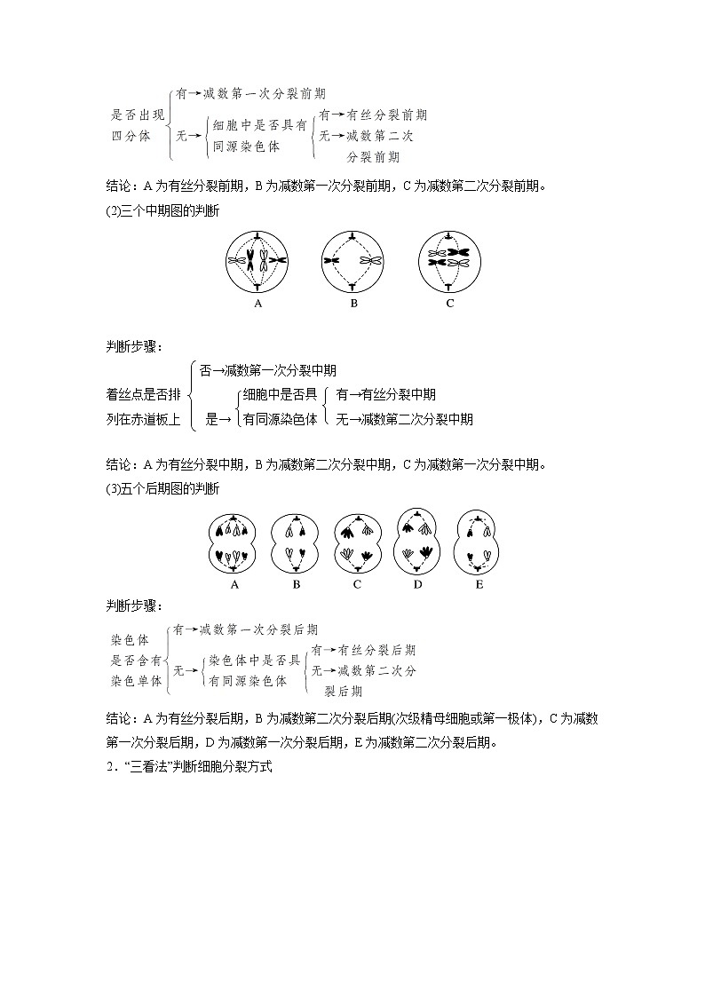 高中生物高考专题03 细胞分裂与变异的分析(解析版)第2页