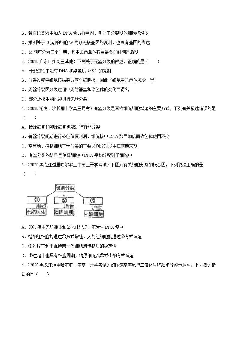 高中生物高考专题04 有丝分裂和减数分裂-2021年高考真题和模拟题生物分项汇编（原卷版）03