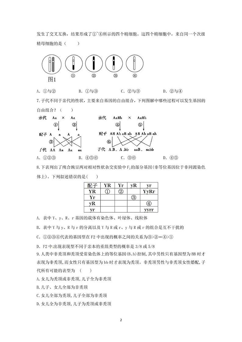 山东省泰安市新泰第一中学东校2022-2023学年高一下学期3月月考生物试题PDF版无答案第2页