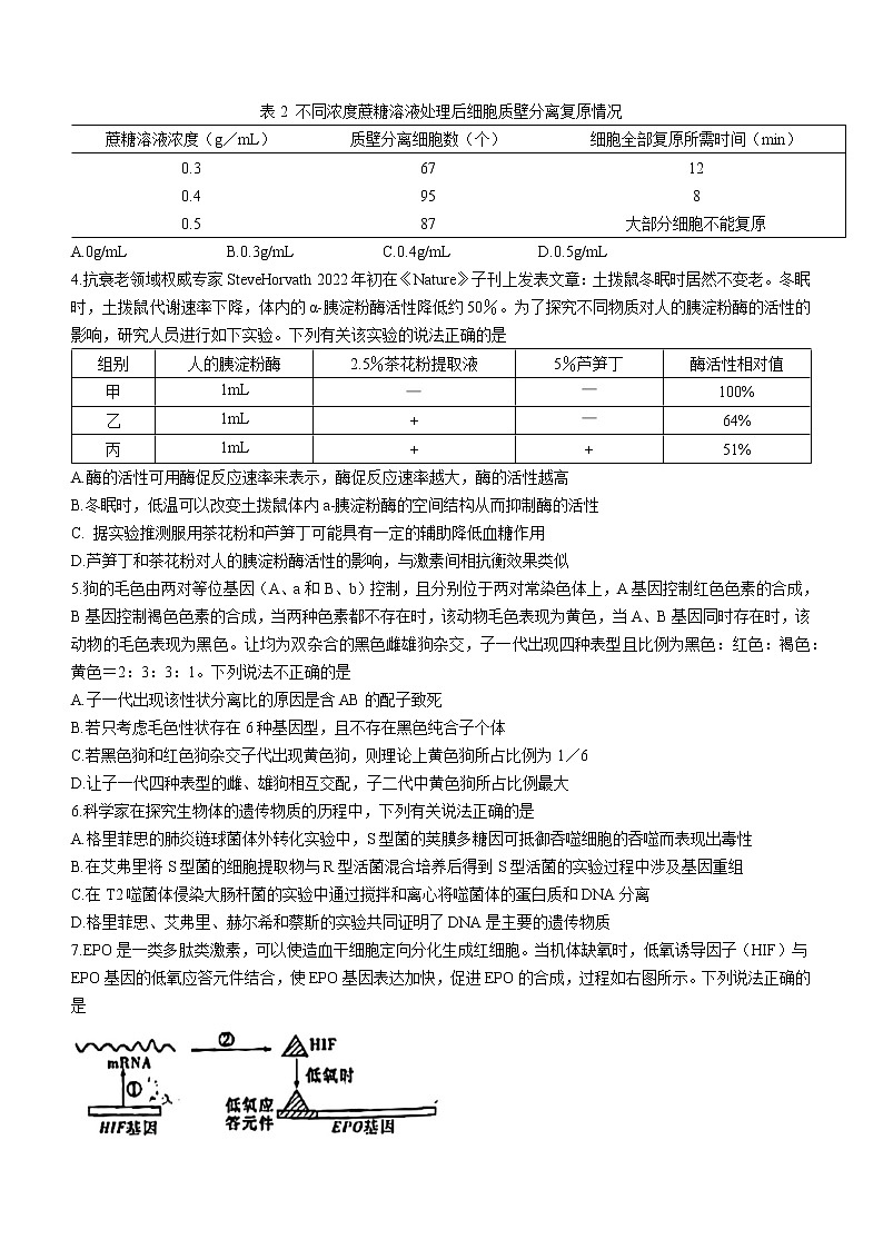 2023长沙雅礼中学高三下学期月考试卷(八)生物无答案第2页