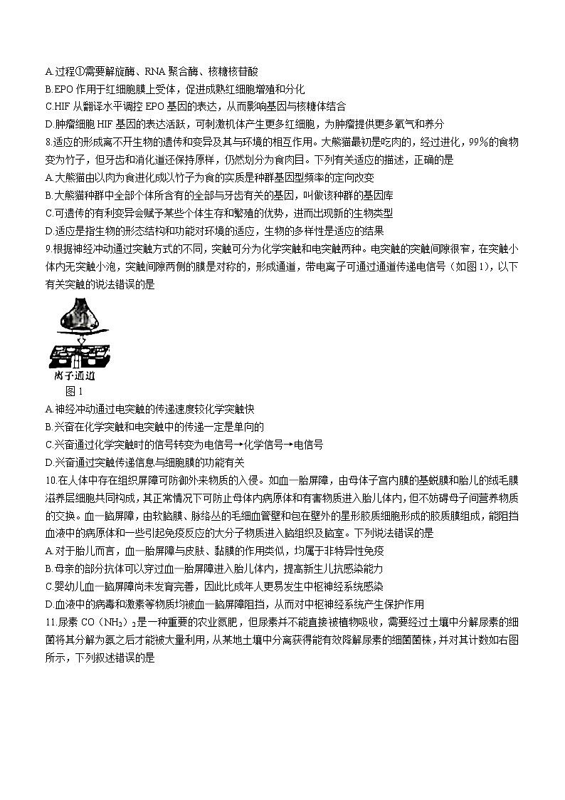 2023长沙雅礼中学高三下学期月考试卷(八)生物无答案第3页