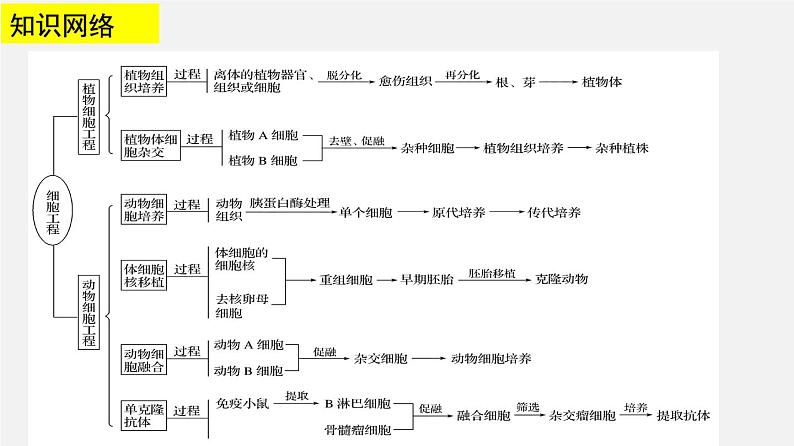 高中生物高考专题23 细胞工程-2020年高考备考生物二轮复习课件第3页