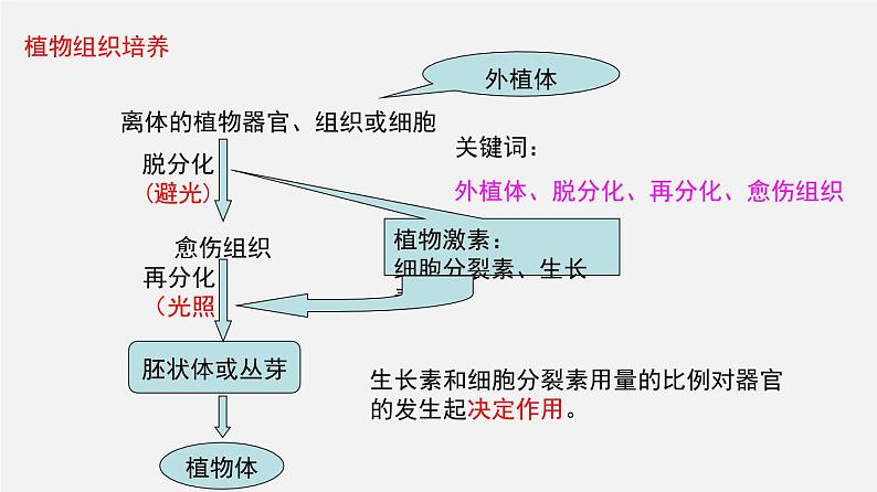 高中生物高考专题23 细胞工程-2020年高考备考生物二轮复习课件第7页
