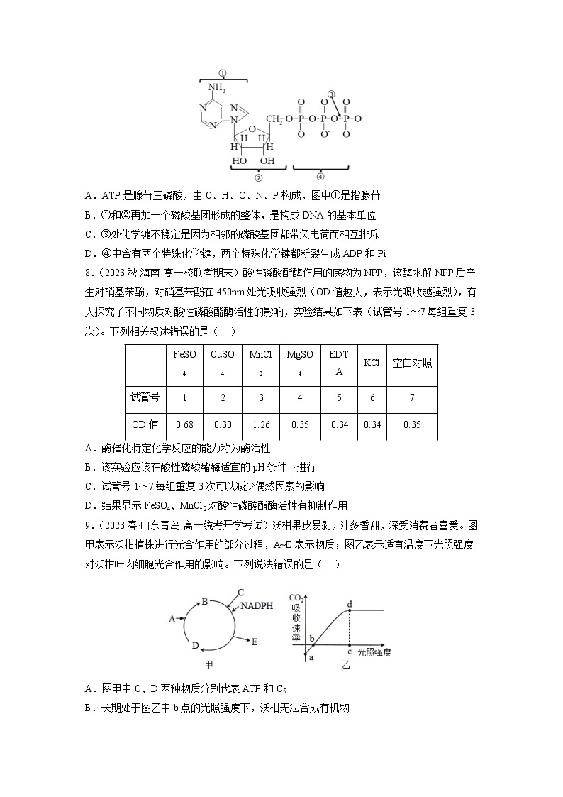 专题卷02 细胞代谢-【小题小卷】冲刺2023年高考生物小题限时集训（新高考专用）03