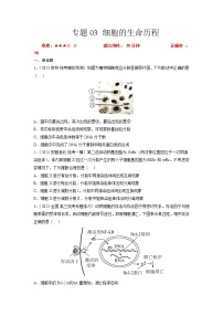 专题卷03 细胞的生命历程-【小题小卷】冲刺2023年高考生物小题限时集训（新高考专用）