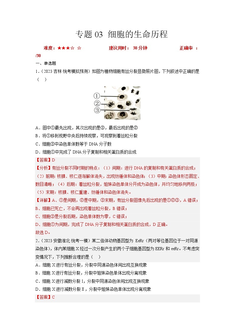 专题卷03 细胞的生命历程-【小题小卷】冲刺2023年高考生物小题限时集训（新高考专用）01