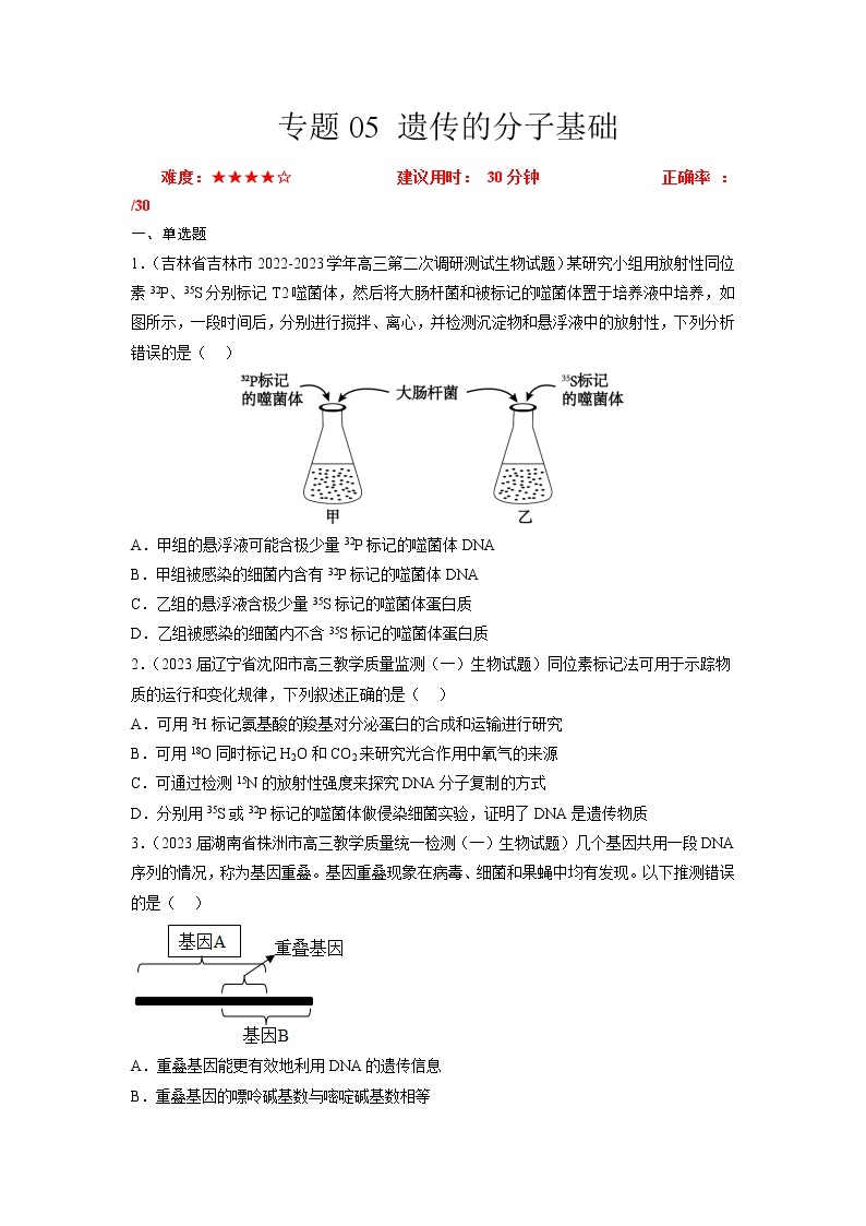 专题卷05 遗传的分子基础-【小题小卷】冲刺高考生物小题限时集训（新高考专用）01