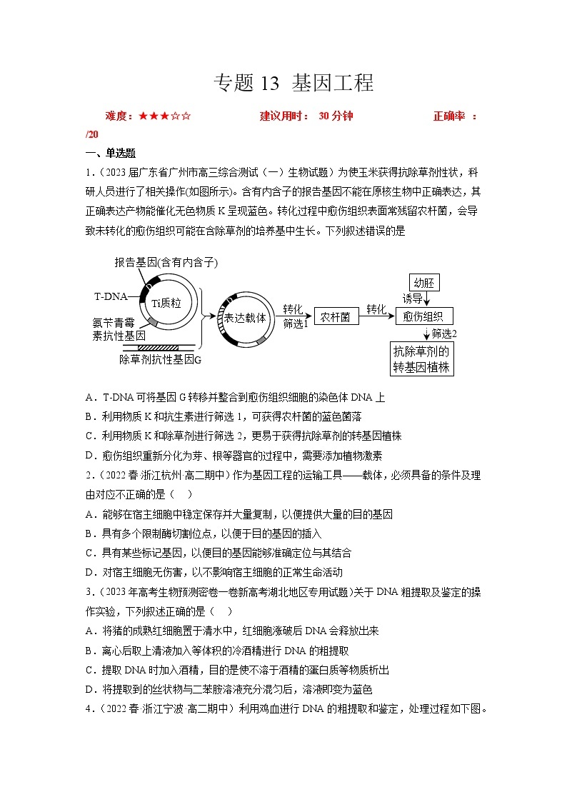 专题卷13 基因工程 -【小题小卷】冲刺2023年高考生物小题限时集训（新高考专用）01