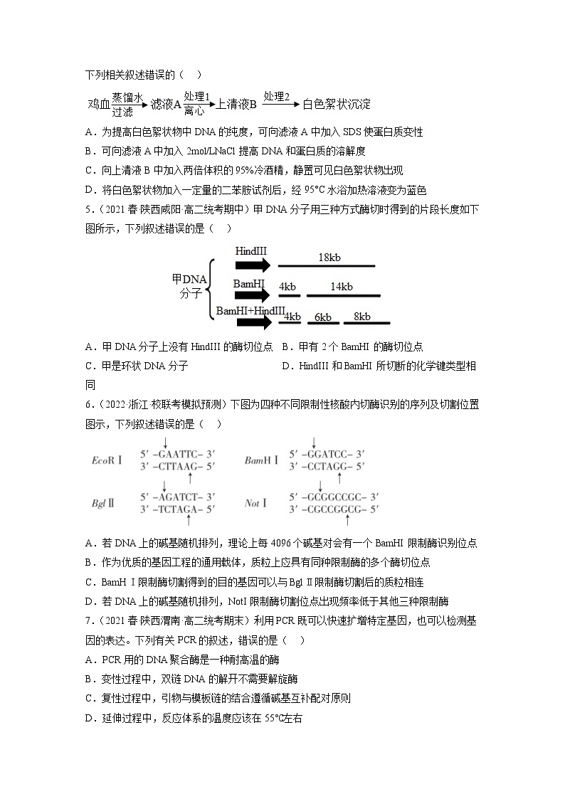 专题卷13 基因工程 -【小题小卷】冲刺2023年高考生物小题限时集训（新高考专用）02