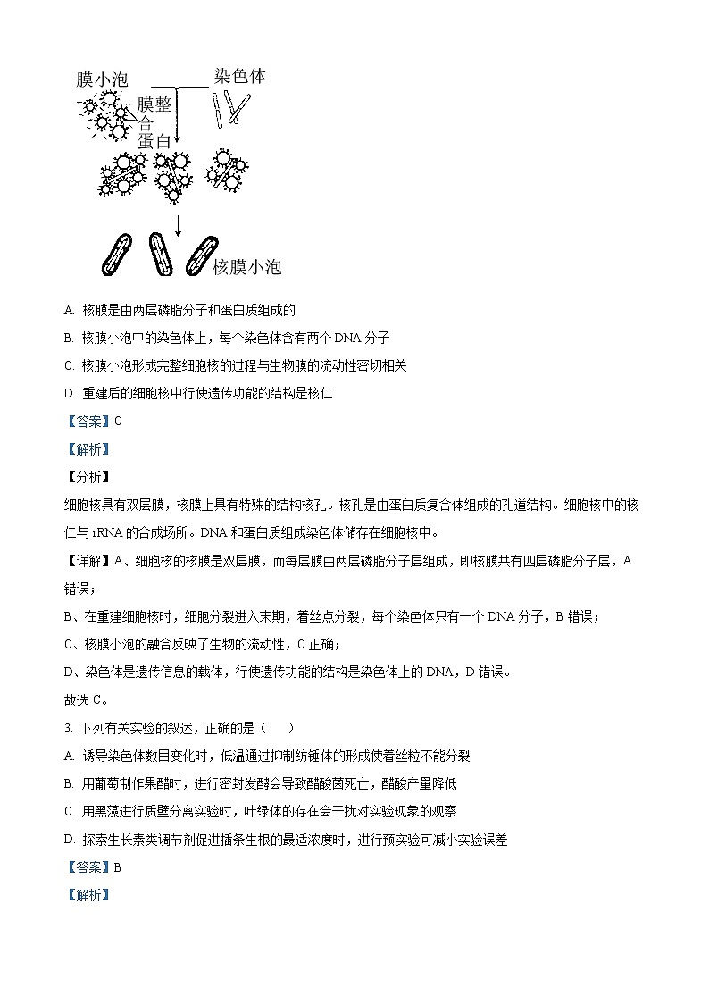 2023届石家庄市高三教学质量检测(一)生物试题含解析第2页