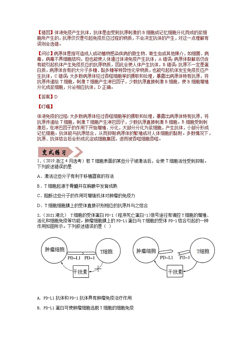 易錯點(diǎn)14 免疫調(diào)節(jié)（學(xué)生版）第3頁