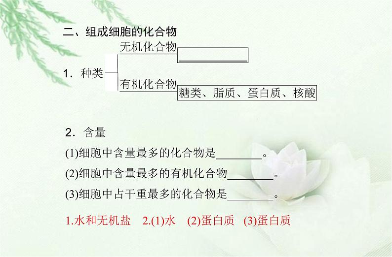 高中生物学业水平合格性考试专题一细胞的分子组成课件第4页