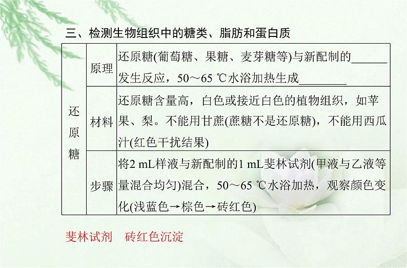 高中生物学业水平合格性考试专题一细胞的分子组成课件第5页