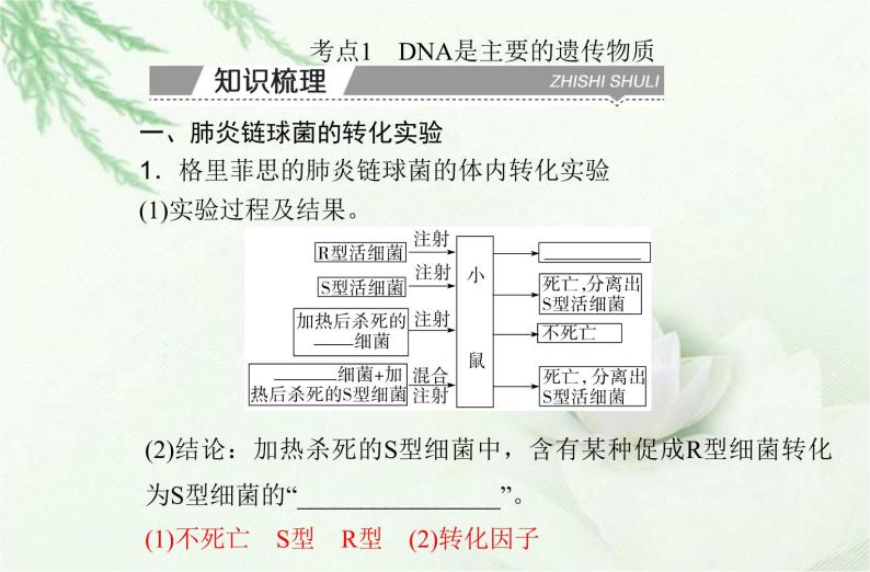 高中生物学业水平合格性考试专题七基因的本质课件03