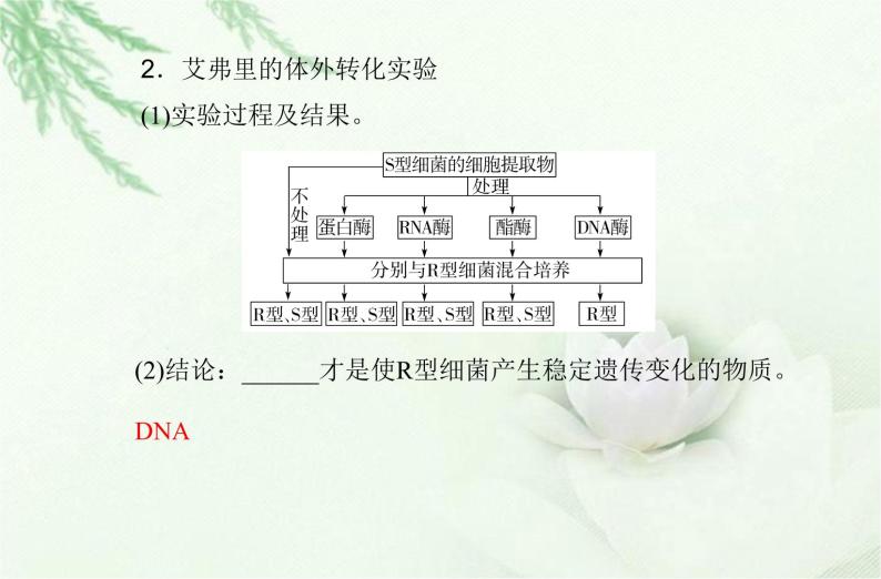 高中生物学业水平合格性考试专题七基因的本质课件04