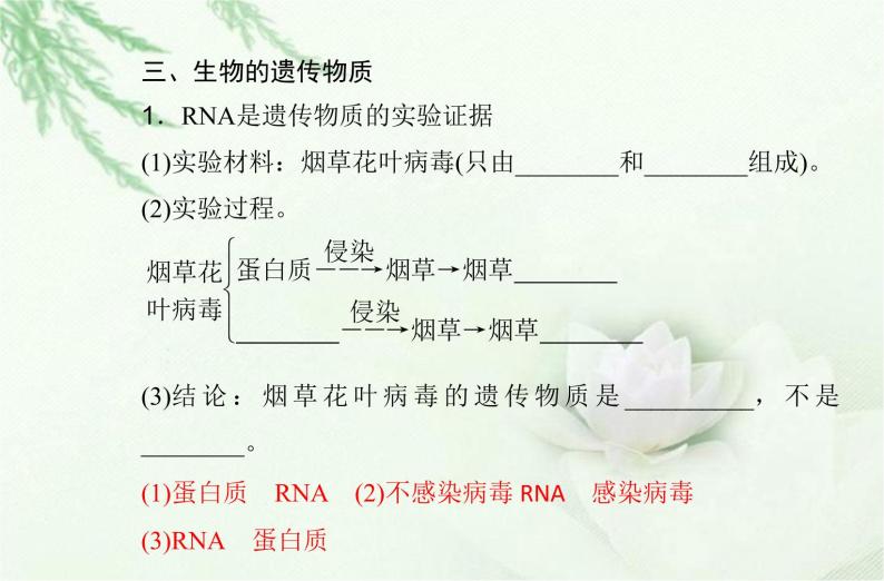 高中生物学业水平合格性考试专题七基因的本质课件07