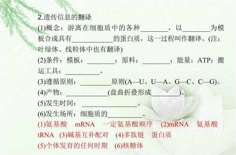 高中生物学业水平合格性考试专题八基因的表达课件07