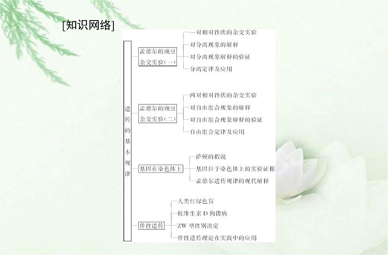 高中生物学业水平合格性考试专题九遗传的基本规律课件第2页