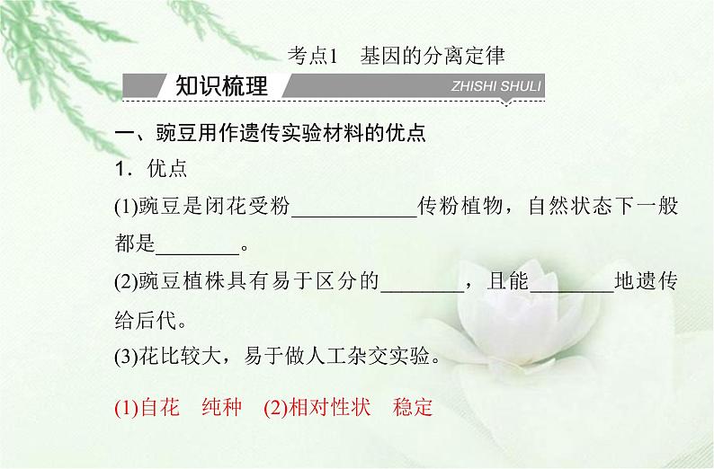 高中生物学业水平合格性考试专题九遗传的基本规律课件第3页