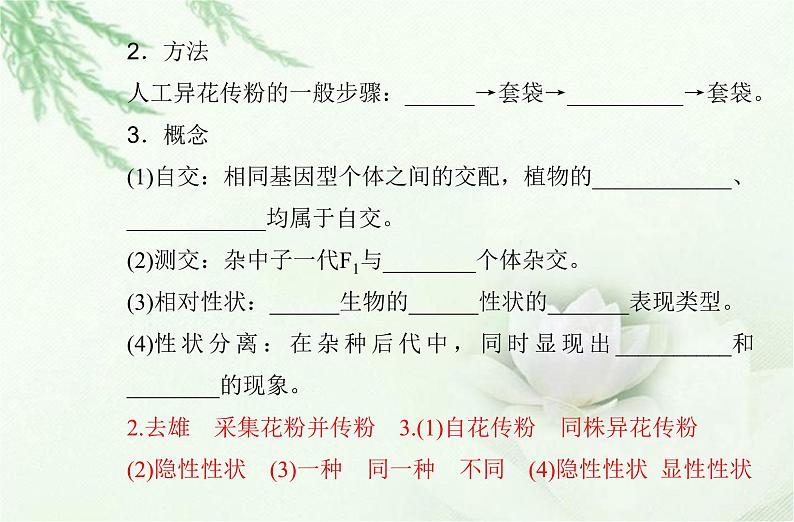 高中生物学业水平合格性考试专题九遗传的基本规律课件第4页