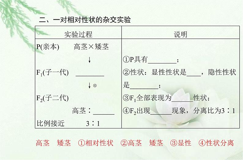 高中生物学业水平合格性考试专题九遗传的基本规律课件第5页