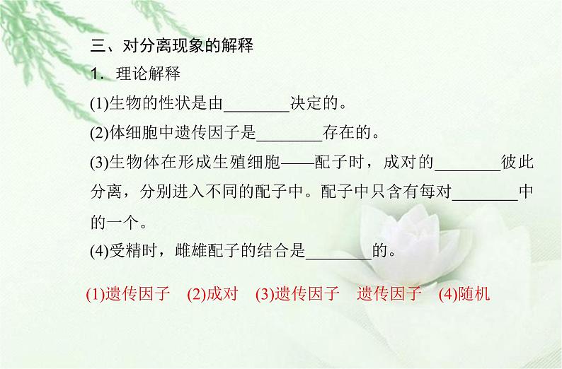 高中生物学业水平合格性考试专题九遗传的基本规律课件第6页
